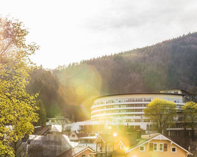 Abb. SCHWARZWALD PANORAMA